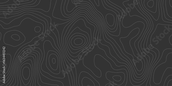 Fototapeta Monochrome elevation map design with fine contour lines on a black surface, blending modern aesthetics with natural geological inspiration.
