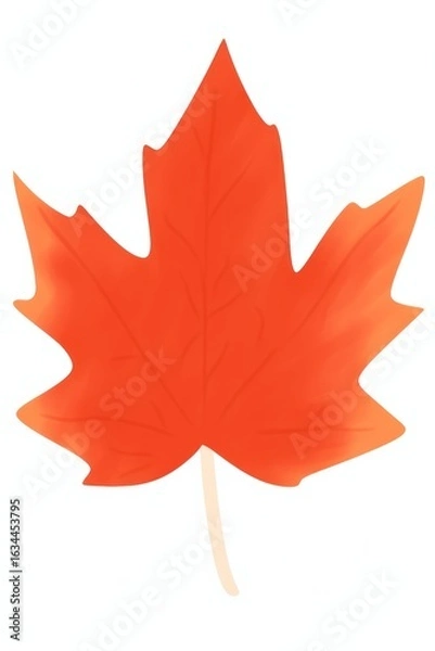 Fototapeta Red leaf plant tree white background.