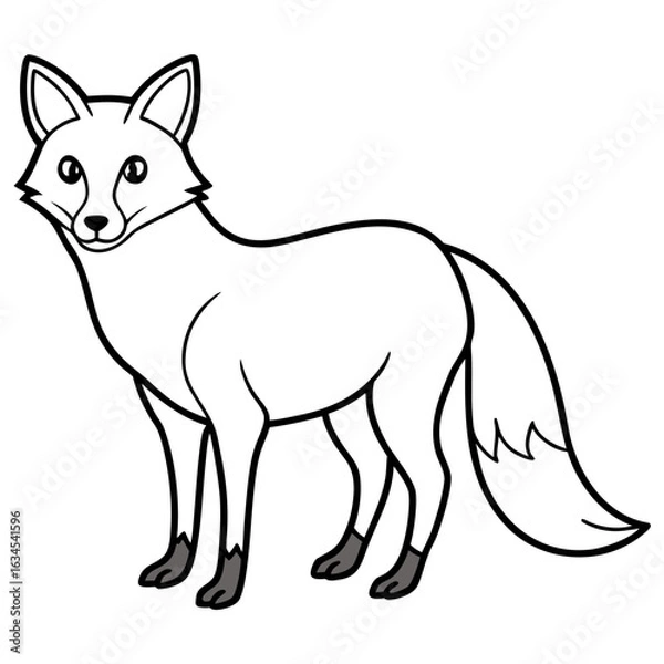 Obraz fox vector illustration