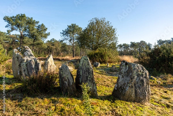 Obraz Dolmen et mégalithe