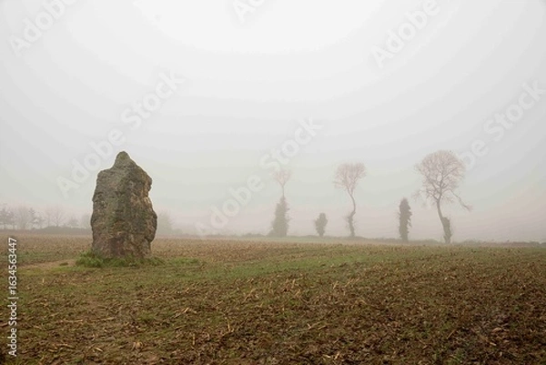Obraz Dolmens et mégalithes