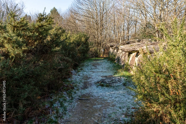 Obraz Site mégalithique de Bretagne