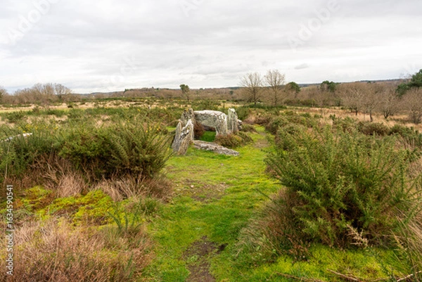 Obraz Menhir, dolmen, mégalithe