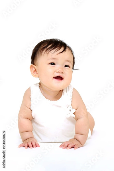 Fototapeta 白背景の前をハイハイする赤ちゃんの正面クローズアップ