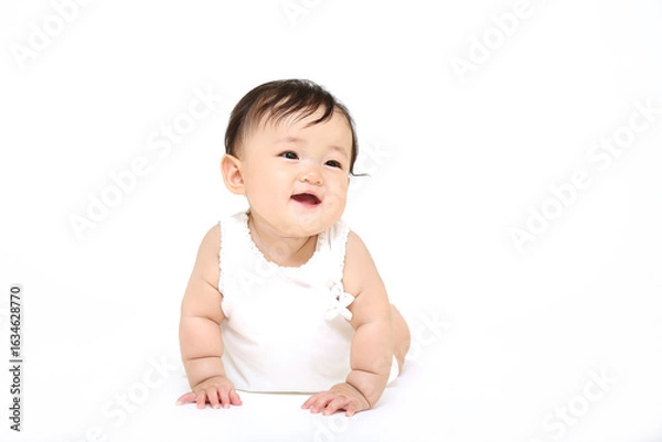 Fototapeta 白背景の前をハイハイする赤ちゃんの正面クローズアップ