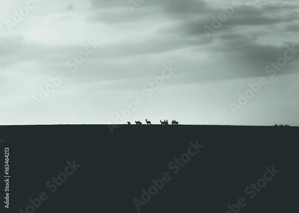 Fototapeta Horizontal