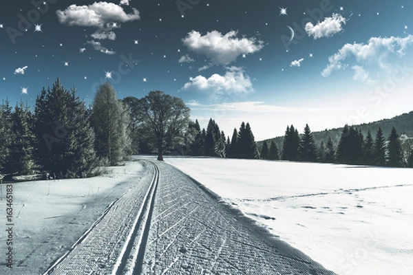 Fototapeta Winter road