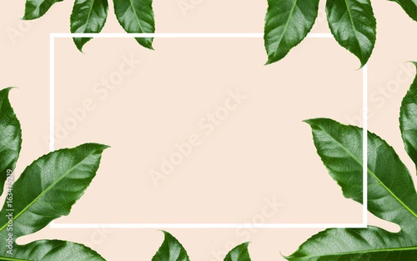 Fototapeta green leaves with rectangular frame over beige