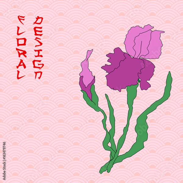 Obraz Vector iris. Hand-drawing illustration.