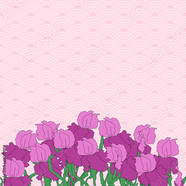 Obraz Vector iris. Hand-drawing illustration.