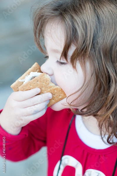 Obraz Young little girl is eating a s'more made from graham crackers, roasted marshmallows and chocolate. Her mouth is messy and she is taking a toothy bite of the s'more.