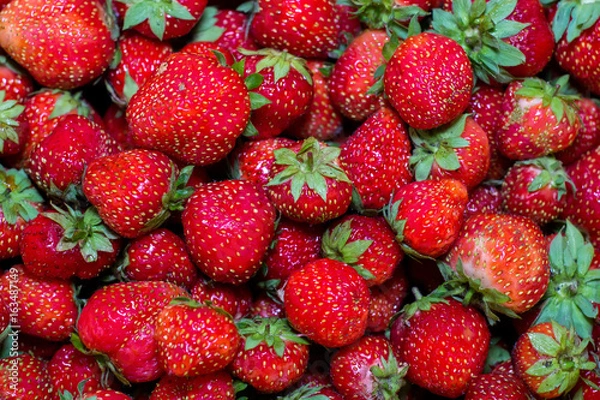 Fototapeta Fresh harvest of strawberries. Background of ripe fresh strawberries in full frame