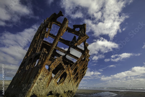 Obraz Still Standing