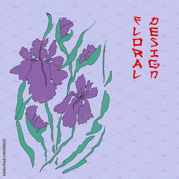 Obraz Vector iris. Hand-drawing illustration.