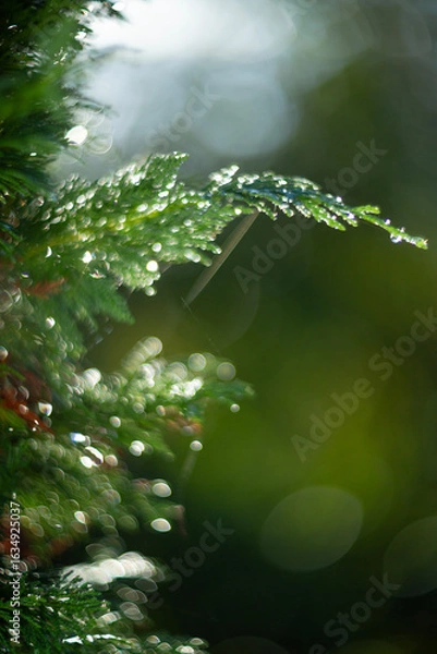 Fototapeta Lush, vibrant green foliage adorned with dew drops sparkling in beautiful natural light