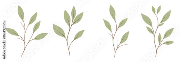 Fototapeta Minimal botanical sprigs set with soft green leaves flat illustration