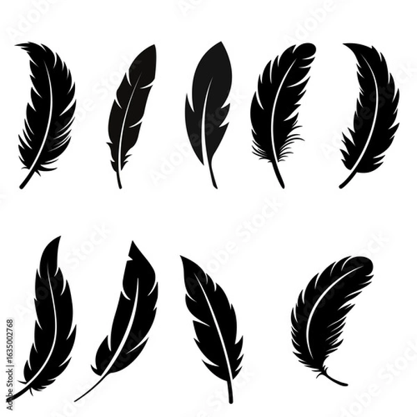Fototapeta A soft, light feather symbolizing freedom and grace.