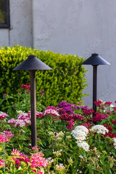 Obraz Lawn and Garden