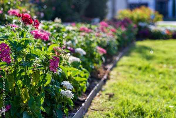 Obraz Lawn and Garden