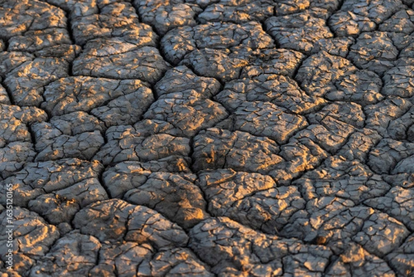 Obraz dry soil texture