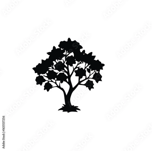 Fototapeta tree silhouette vector