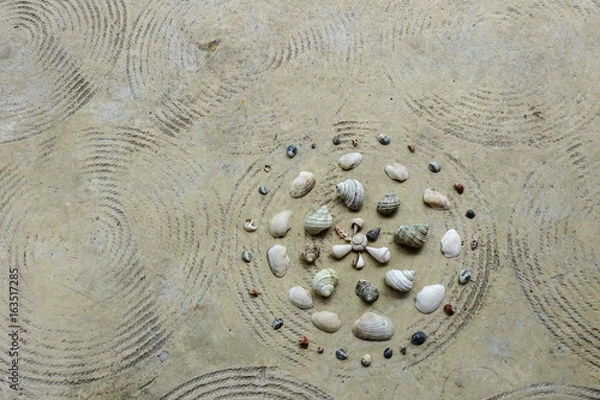Obraz Sea Shells
