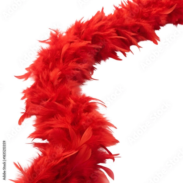 Obraz red feather isolated on white