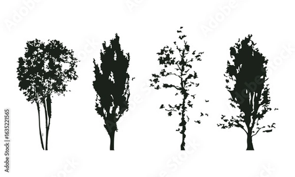Fototapeta Hand drawn tree silhouette on white background