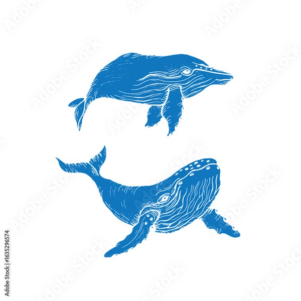 Obraz Vector hand drawn illustration of whales blue filling without stroke. Sketch detailed engraving style