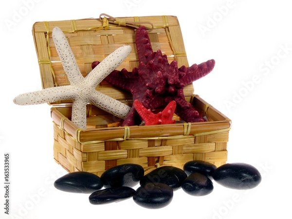 Obraz oceaniczne muszle