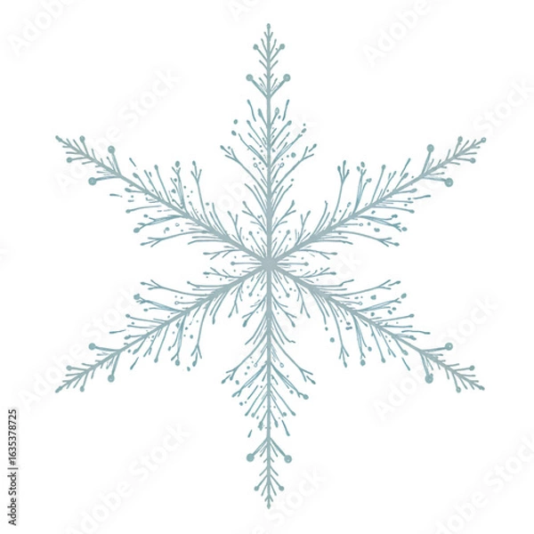 Obraz Abstract Snowflake Illustration Against Transparent Background