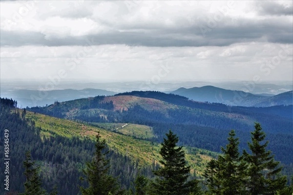 Obraz bayerischer wald