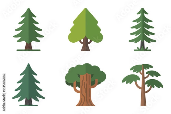 Fototapeta Coniferous and deciduous tree icons, forest plant vector, woodland tree illustration, nature collection, green tree set