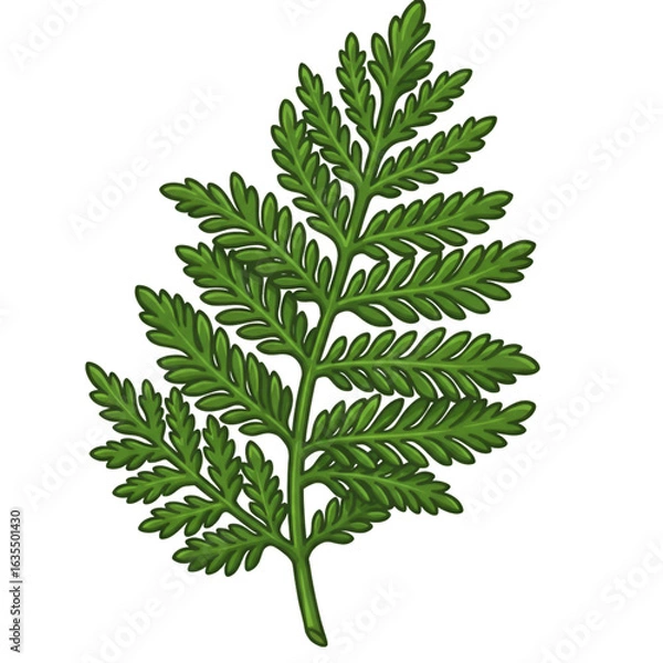 Fototapeta Isolated Green Fern Leaf Illustration With Transparent Background