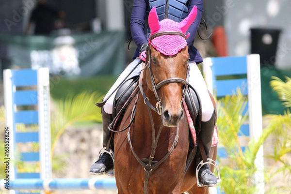 Obraz competitive equestrian sport