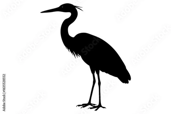 Obraz heron silhouette isolated, heron black vector