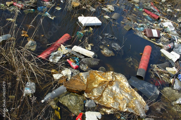 Obraz littered river