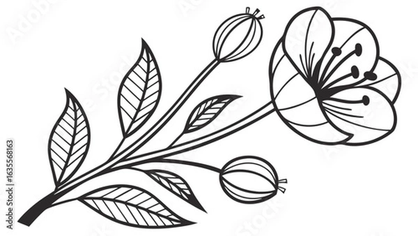Fototapeta Elegant Black and White Line Art of a Floral Branch with Blooming Flower and Leaves