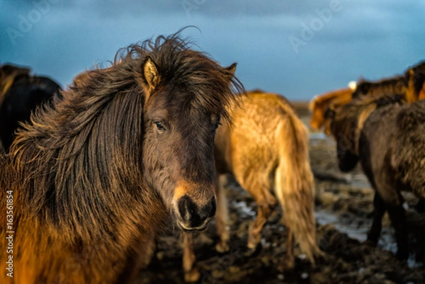 Fototapeta i watch you