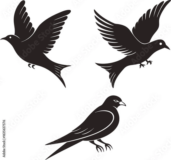 Fototapeta A set of vector bird silhouettes including a flying eagle, dove, and falcon for wildlife illustration design