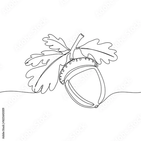 Fototapeta Single line art of acorn with oak leaves, minimal black on transparent background