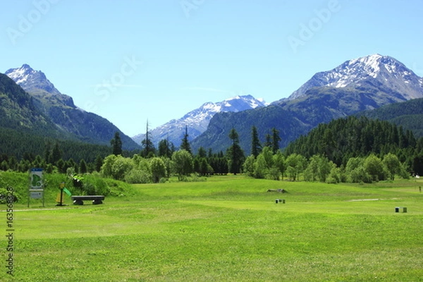 Obraz Golfanlage Samedan