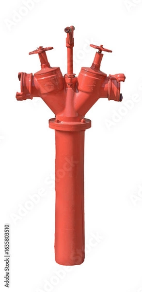 Obraz Red fire hydrant