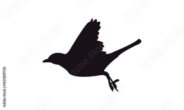 Obraz Flying American robin bird Silhouette Design  And Vector Illustration. 