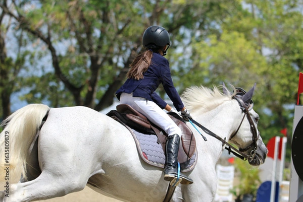 Obraz competitive equestrian sport