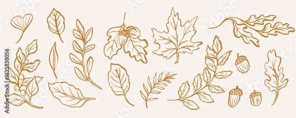 Obraz Hand drawn whimsical autumn leaves collection