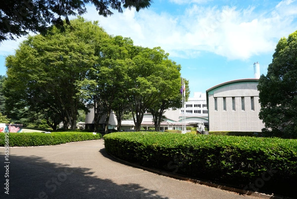 Obraz 世田谷美術館