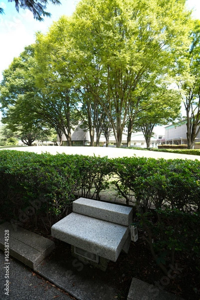 Fototapeta 砧公園