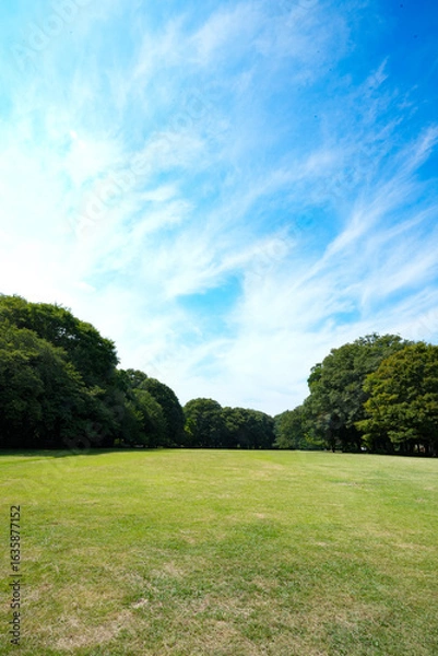 Fototapeta 砧公園