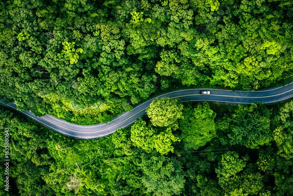 Fototapeta Aerial view of a road in the middle of the forest , road curve construction up to mountain